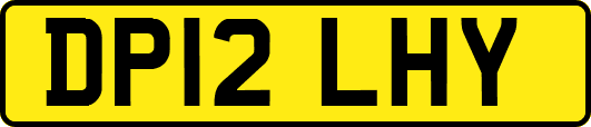 DP12LHY