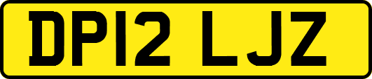 DP12LJZ