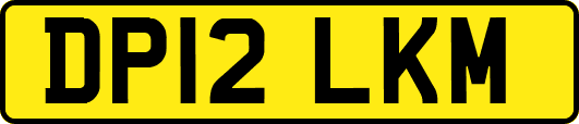 DP12LKM