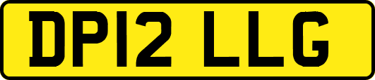 DP12LLG