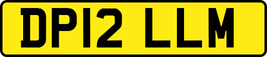 DP12LLM