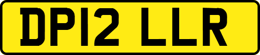 DP12LLR