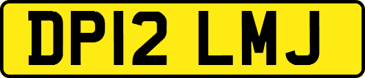 DP12LMJ