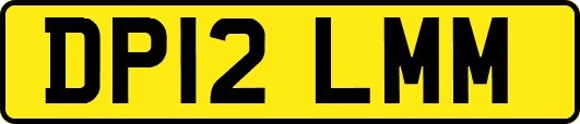 DP12LMM