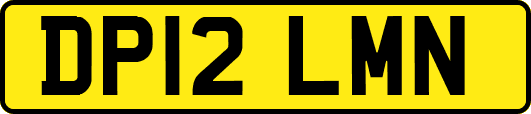 DP12LMN