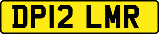 DP12LMR