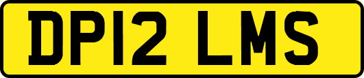 DP12LMS