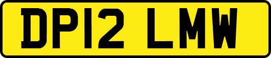 DP12LMW