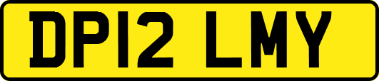 DP12LMY