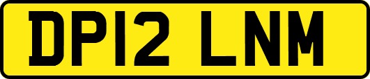 DP12LNM