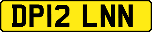 DP12LNN