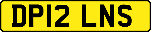 DP12LNS
