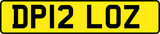 DP12LOZ