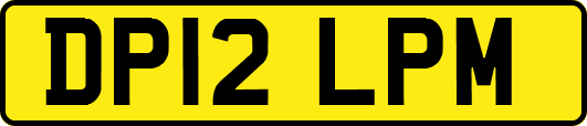 DP12LPM