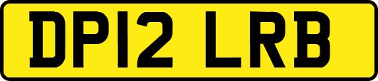DP12LRB