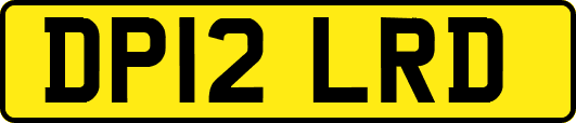 DP12LRD