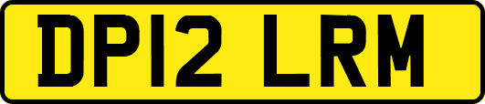 DP12LRM
