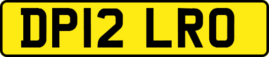 DP12LRO