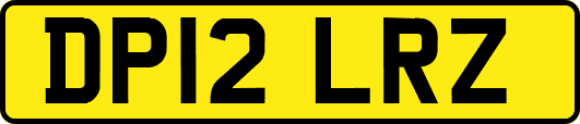 DP12LRZ