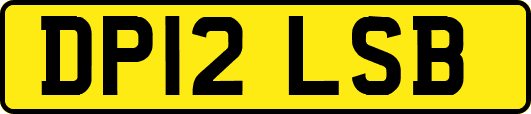 DP12LSB