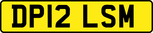 DP12LSM