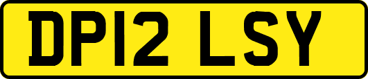DP12LSY