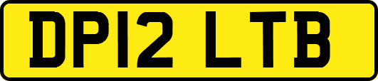 DP12LTB