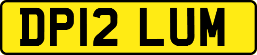 DP12LUM