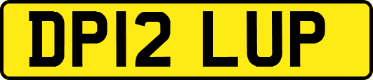 DP12LUP
