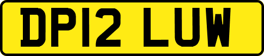 DP12LUW