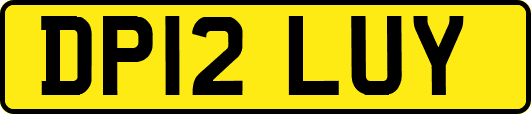 DP12LUY