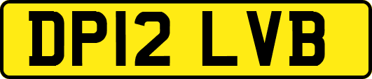 DP12LVB