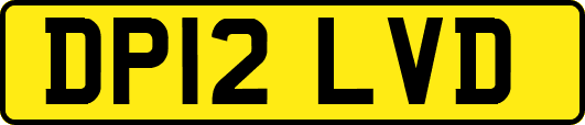 DP12LVD