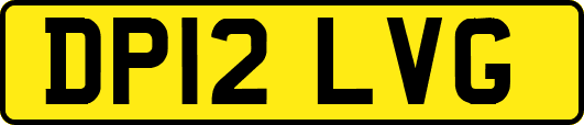 DP12LVG