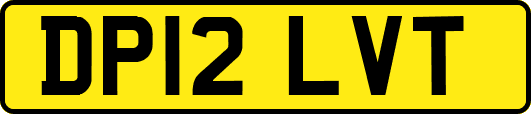 DP12LVT