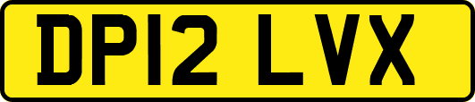 DP12LVX