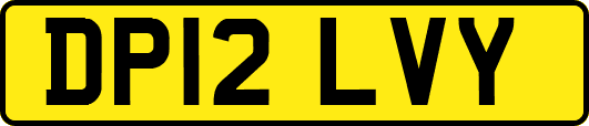 DP12LVY