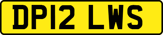 DP12LWS