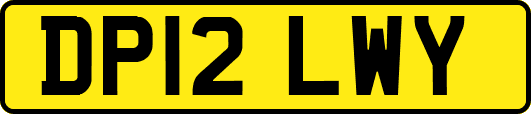 DP12LWY