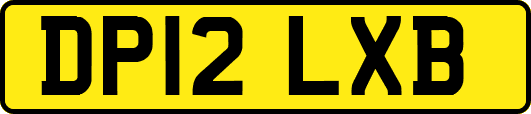 DP12LXB