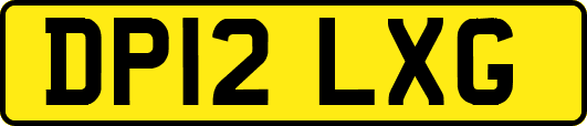 DP12LXG