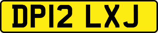 DP12LXJ