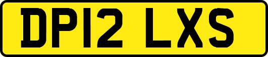 DP12LXS