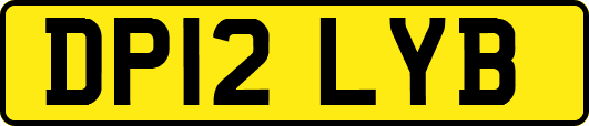 DP12LYB