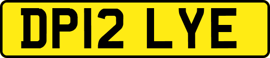 DP12LYE