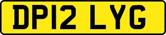 DP12LYG