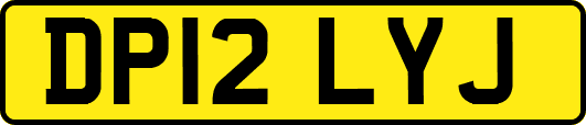 DP12LYJ