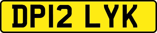 DP12LYK