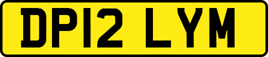 DP12LYM