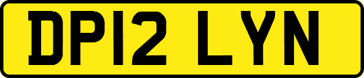 DP12LYN